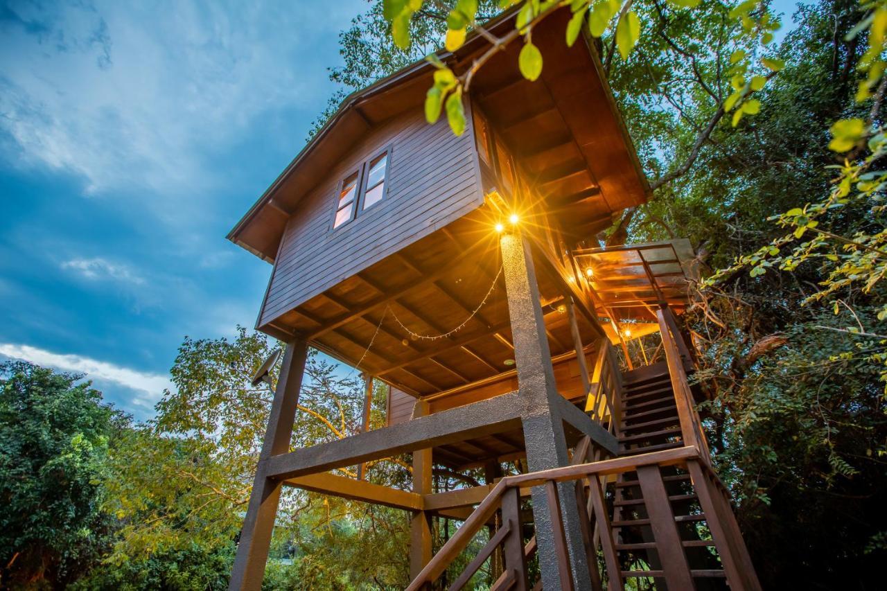 Sigiriya King'S Resort エクステリア 写真