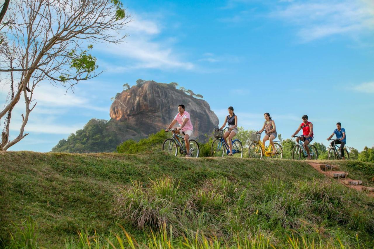 Sigiriya King'S Resort エクステリア 写真