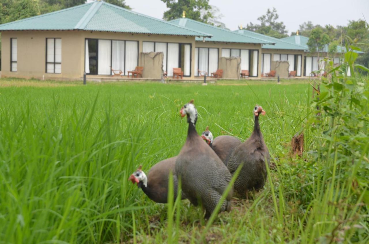 Sigiriya King'S Resort エクステリア 写真