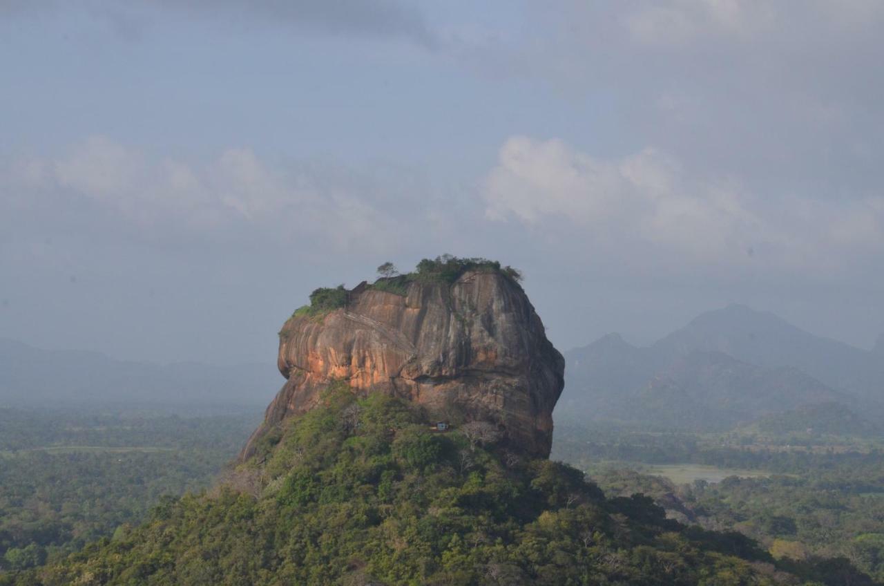 Sigiriya King'S Resort エクステリア 写真