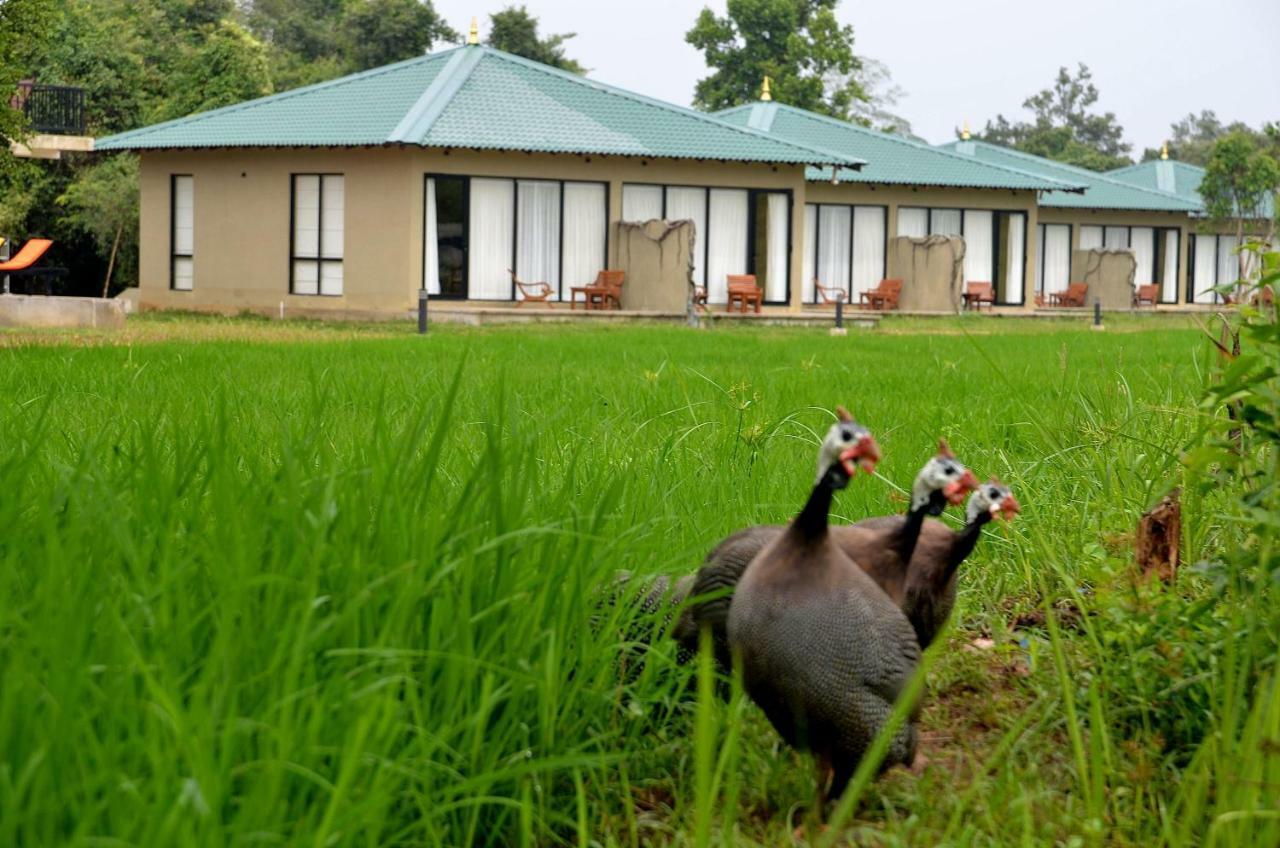 Sigiriya King'S Resort エクステリア 写真