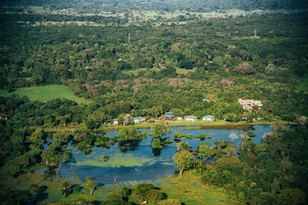 Sigiriya King'S Resort エクステリア 写真