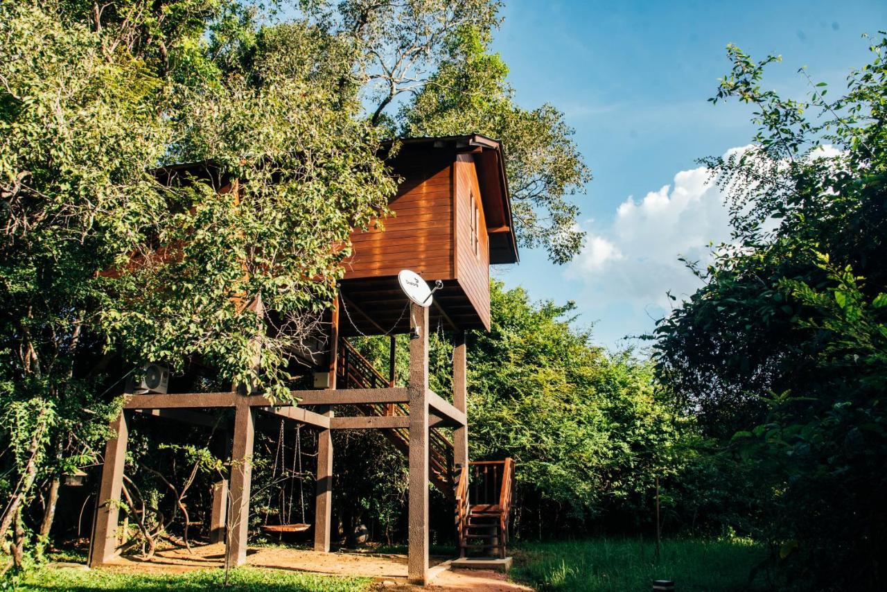 Sigiriya King'S Resort エクステリア 写真