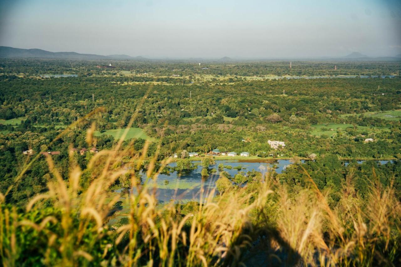 Sigiriya King'S Resort エクステリア 写真